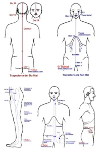 Primero Desarrollar el Yin: La unión con la tierra