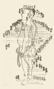 El Shiatsu y el Mito de los Meridianos