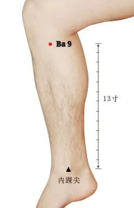 Bazo