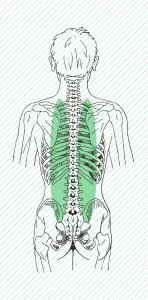 Esclerosis Múltiple